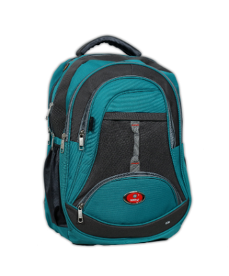 C-24 COLLAGE BAG